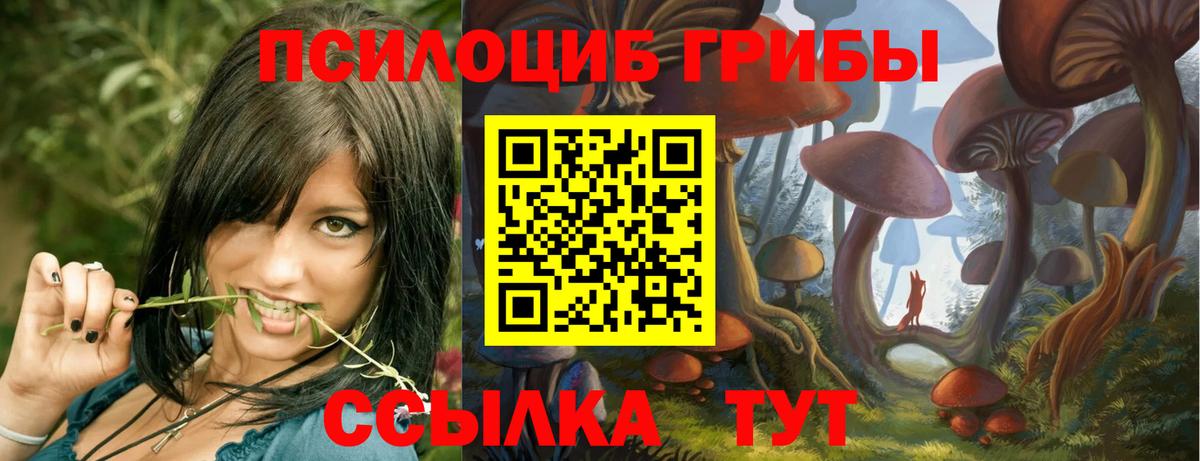 Псилоцибиновые грибы Cubensis  Вход с VPN  магазин    Ярцево 